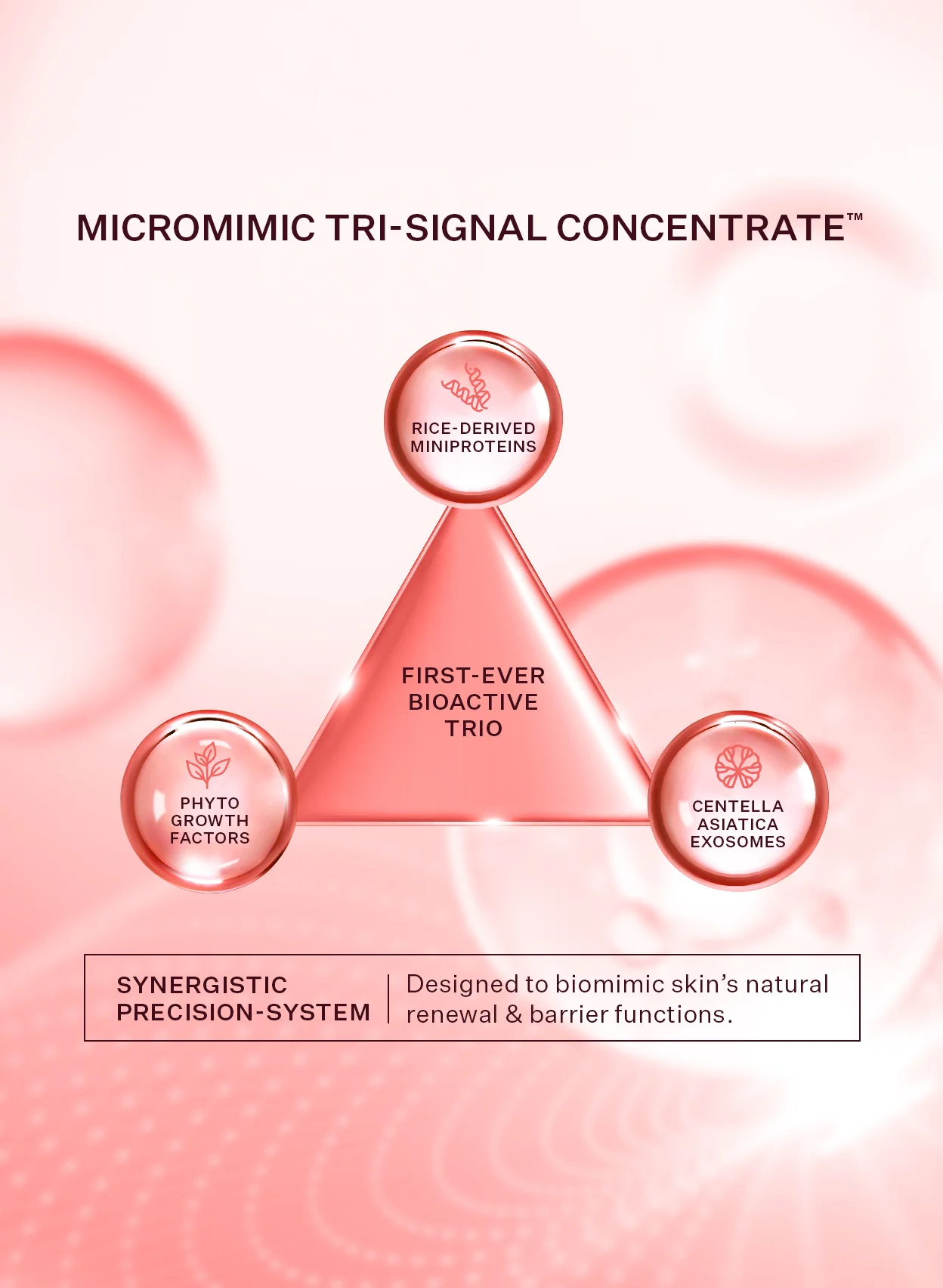 MiniProtein Exosome Bioactive Ampoule - Image 3